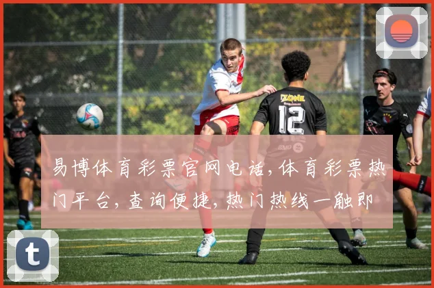 易博体育彩票官网电话,体育彩票热门平台,查询便捷,热门热线一触即达